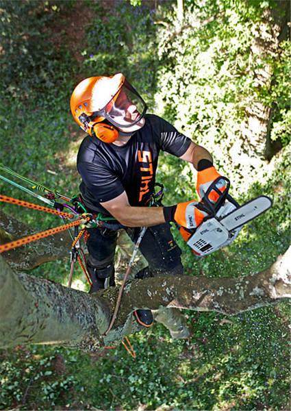 Stihl MS 201 TC-M Arborist Chainsaw