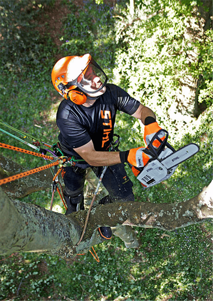 Stihl MS 194 T Arborist Chainsaw